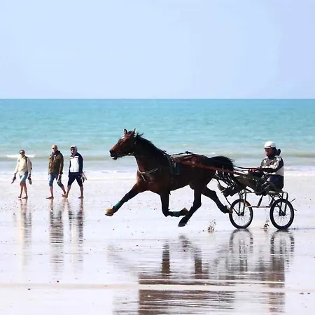 In With Wifi בית נופש